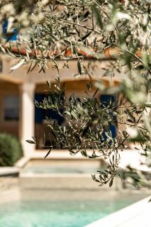 Beautiful Villa Torre IV with sauna in Tar - 5