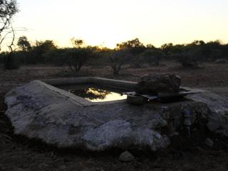 The Beehive Cabin - 9