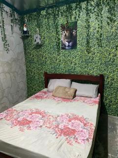 Camping estrela Ubatuba - 8