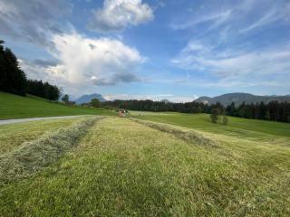 Wimmerhof - Appartement Bergsonne - 4