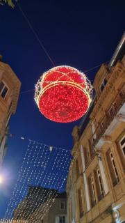 Au petit cœur Messin chaleureux T2 entièrement rénové - 9