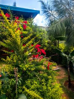 Teryet Safari Lodge - 8