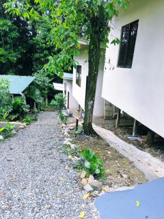 Monstera Forest Lodge - 2