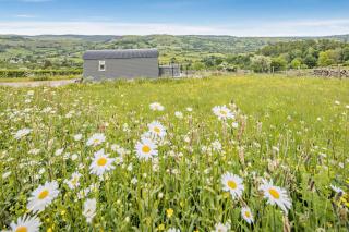 1 Bed in Llangadfan oc-c27292 - 8