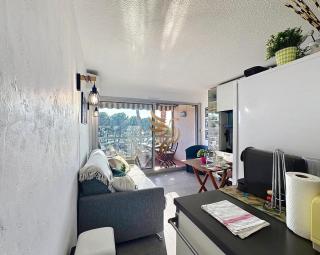 CapRaphéa T2 with seaview,balcony,parking,AC. - 6