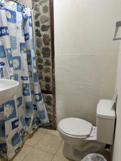 Green Forest Uvita River - 7