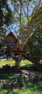Casa na arvore Dream tree house - 9