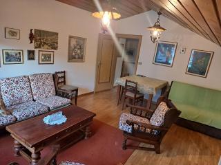 Luminoso e centralissimo attico, splendida vista panoramica sulle Dolomiti e sulle piste olimpiche - 3