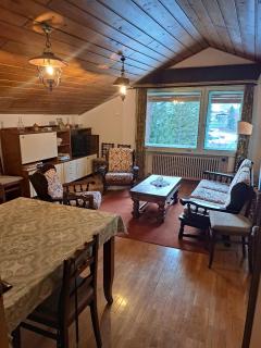 Luminoso e centralissimo attico, splendida vista panoramica sulle Dolomiti e sulle piste olimpiche - 4