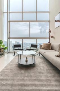 Humilde Penthouse - 3