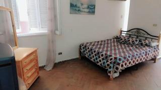 ميامي جلوبال - 6