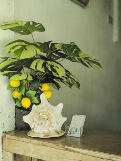 Siargao Hannah Homestay - 4