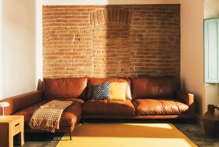 Pateiro da Silva Family Farmers - 4