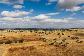 Pateiro da Silva Family Farmers - 1