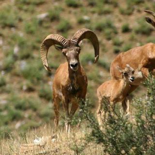 Beautiful nature resort - 4