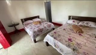 Finca Madre Monte - 7