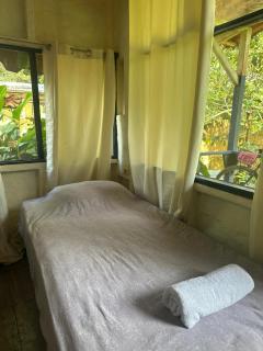 Green Forest Uvita River - 8