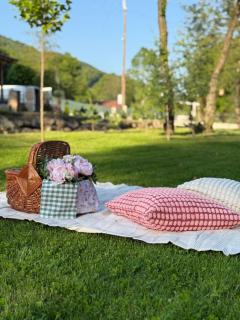 Mi casa es tu casa - 9