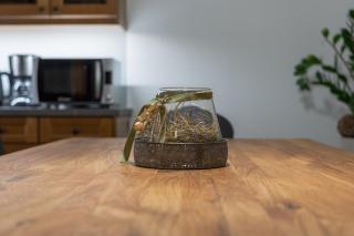 Apartment Christian - 9