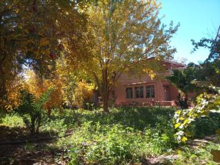 Palmas Magramane - 0