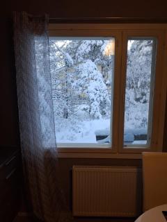 Traditional Finnish Lapland house at wild forest backyard! - 1