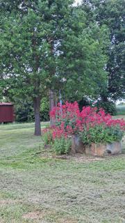 Ferme Les Pigeonnières - 4