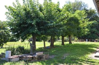 Ferme Les Pigeonnières - 3
