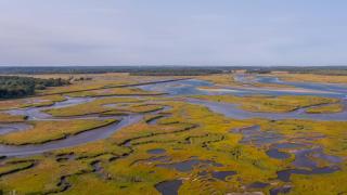 A Wave from it All by Bayley Vacation Rentals - 2