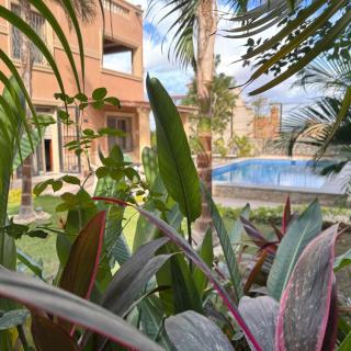 Royal Mansion with private pool in sheikh zayed Compound families - 7