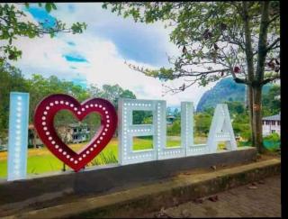 Royal homestay at Misty Mountain - 9