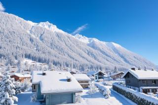 Alpine Flégère View Apartment - Happy Rentals - Chamonix-Mont-Blanc - 9