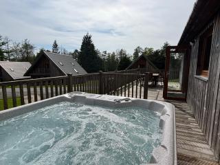 Lord Galloway 35 with Hot Tub - 9