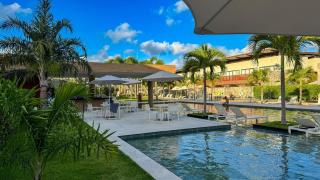 Pipa de oliveiras - 6