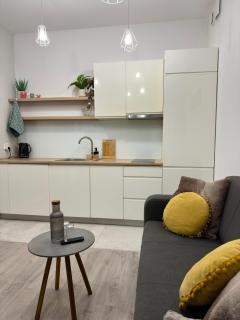 Green Rest Apartment Cracow - Krakow - 5