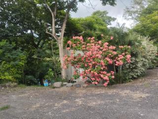 Hotel La Finca de Juancho - 7