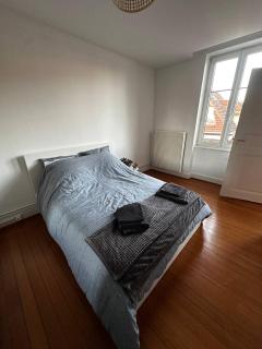 Le Charme Alsacien - Schiltigheim - 4