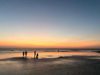 Chalet 150m2 beach front with pool - 2