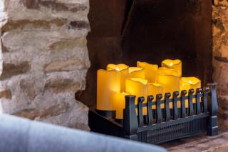 Fireplace Lake View Hot Tub Firepit Pet-Friendly - 4