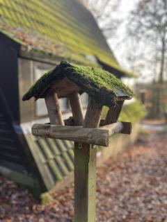 Chalet AchiLou - 4