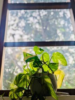 Villa Diyon Dikwella - 5