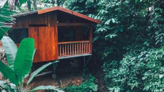 Arenal Rústic Lodge - 8