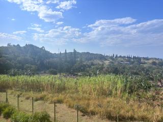 Ocean View Villas B09 - 1