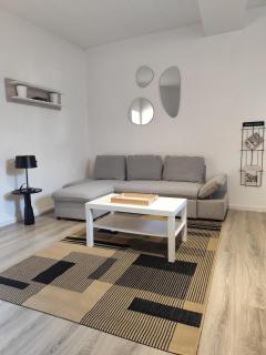 Duplex spacieux et lumineux en centre-ville - 0