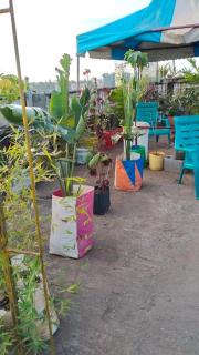 royal care villas - 2