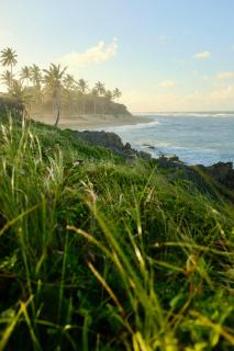 El Encuentro Surf Lodge - 1