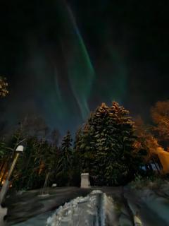 Northern Lights home for families - close to the Arctic Circle - 8