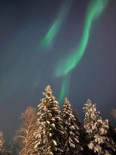 Northern Lights home for families - close to the Arctic Circle - 9