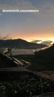 Finca Monteverde House - 9