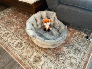 Casa Clementine - 10 min to Airport and 15 to Beaches - 1