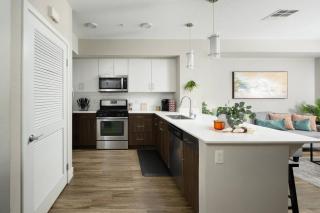 The Belladonna at Main Place - 4